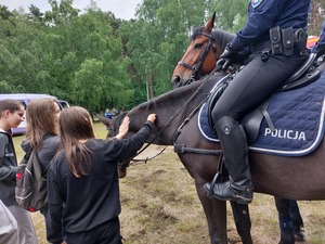 dzieci głaskające konie policyjne