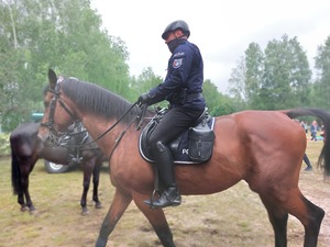 policjant na koniu