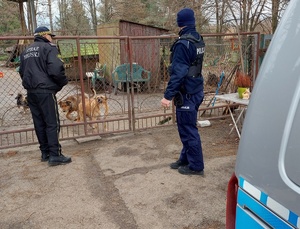 policjant i strażnik miejski przed bramą za którą znajdują się psy