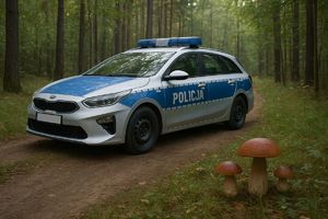 Bezpieczeństwo podczas zbierania grzybów